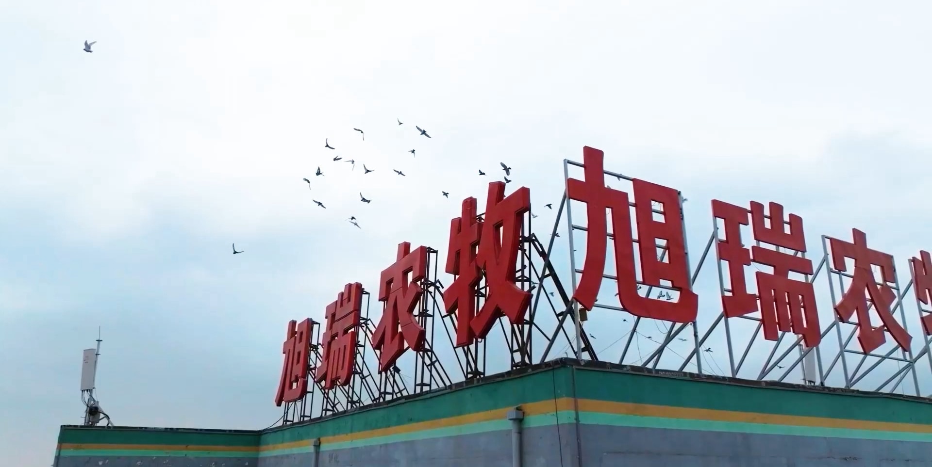 河南哥潤食品有限公司
